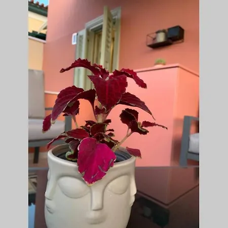 Master Rose House With Sea View Hébergement de vacances *