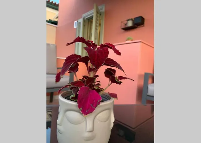 Master Rose House With Sea View Nyaraló *